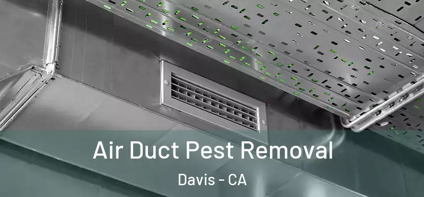  Air Duct Pest Removal Davis - CA