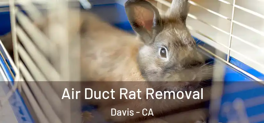 Air Duct Rat Removal Davis - CA