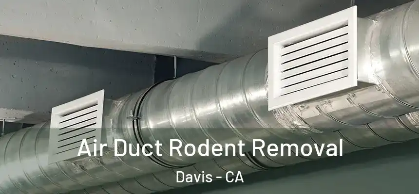  Air Duct Rodent Removal Davis - CA