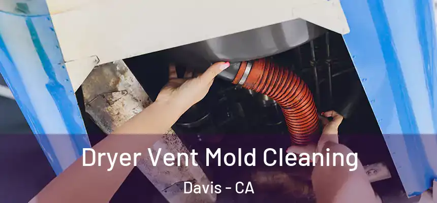  Dryer Vent Mold Cleaning Davis - CA