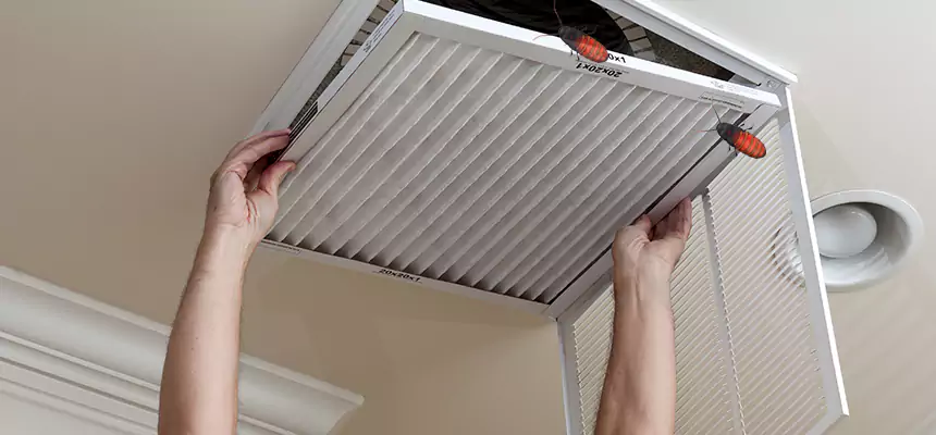 Preventive Cockroach-Proofing for Ducts in Davis