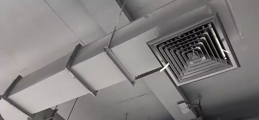 Our Pest Removal From Ducts Services in Davis, CA