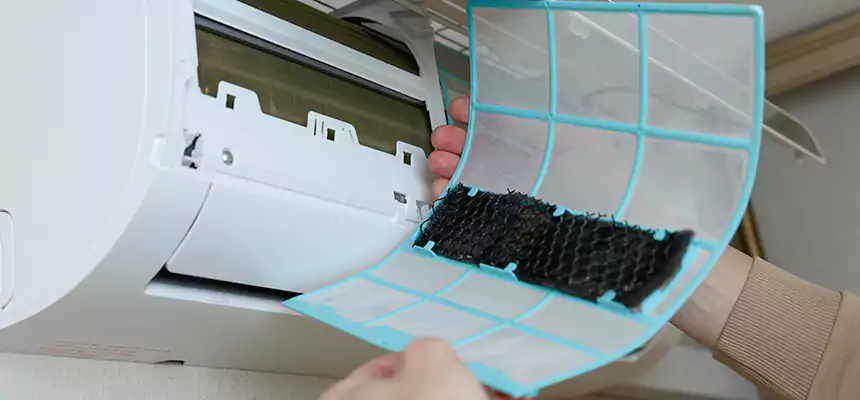 Gentle Ductwork Odor-Control Pet Dander Duct Cleaning in Davis, CA