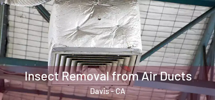 Insect Removal from Air Ducts Davis - CA