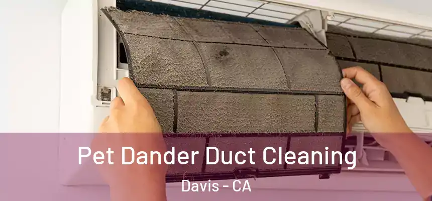  Pet Dander Duct Cleaning Davis - CA