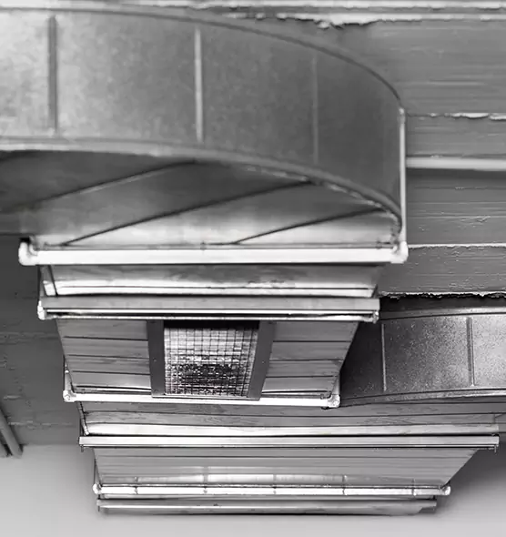 Professional Air Duct Pest Removal in Davis, CA