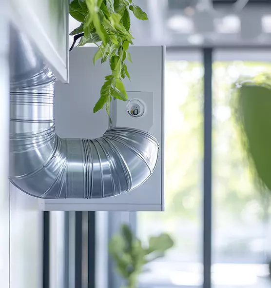 Professional Eco-Safe Dryer Vent Cleaning in Davis, CA