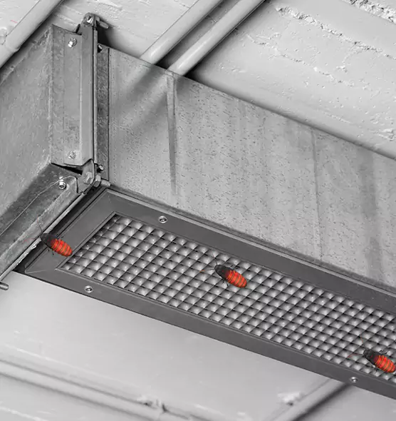 Affordable Insect Removal from Air Ducts in Davis, CA