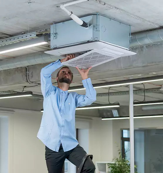 Advanced Rodent Droppings In Vents in Davis, CA