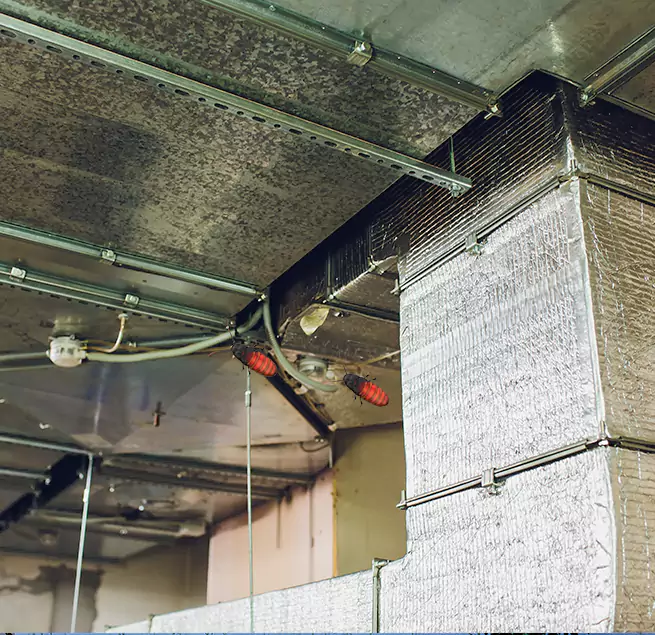 Why Homeowners & Businesses Trust Us in Davis, CA?