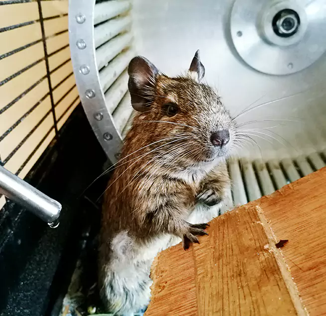 Why Homeowners & Businesses Trust Us Davis, CA