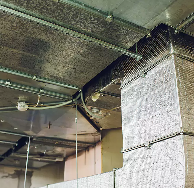 Why Homeowners & Businesses Trust Us in Davis, CA?